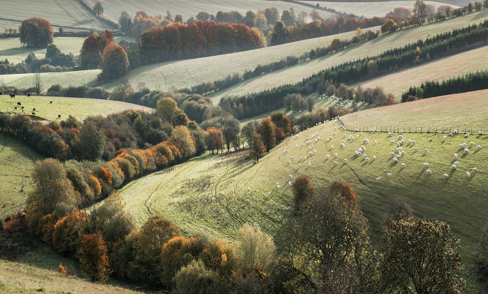 Morning light over the Cotswold hills